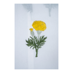 Princess Cut A-Line Kurta with Pockets