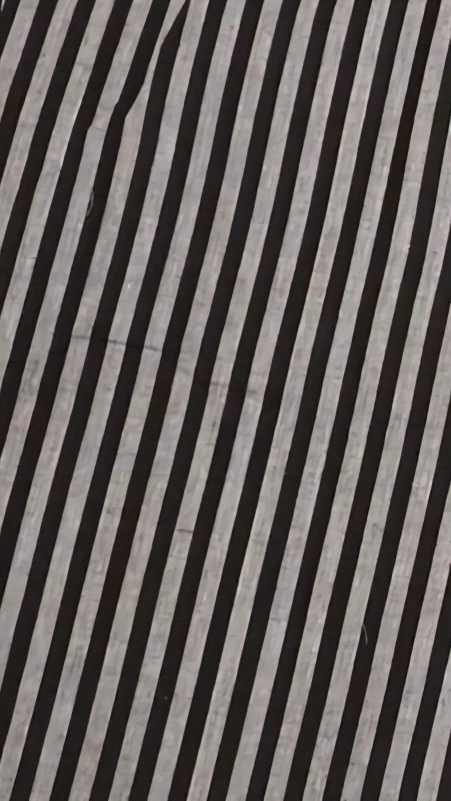 Pleated Pants with Pockets